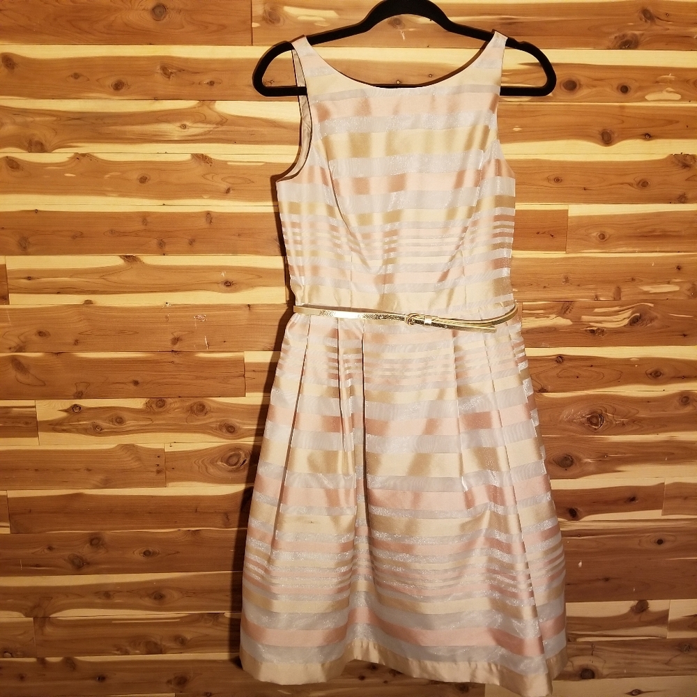 Pink and Gold A-Line Dress